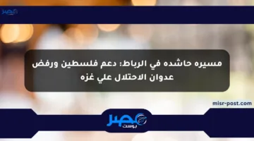مسيرة حاشدة في الرباط: دعم فلسطين ورفض عدوان الاحتلال على غزة